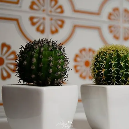 Terrazza Bellavista Bordighera